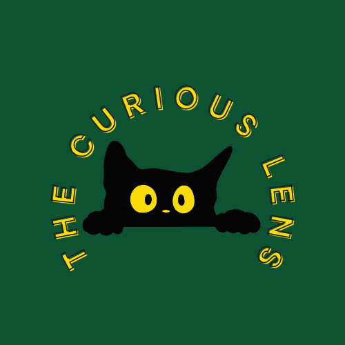 They said curiosity killed the cat… 